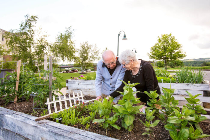 senior living couple at the community garden