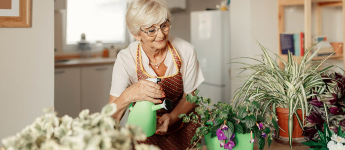 Senior woman watering indoor plants