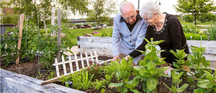 senior man outside gardening