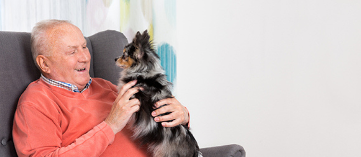 The 6 Best Dogs for Seniors | Top Low-Maintenance Fur Friends