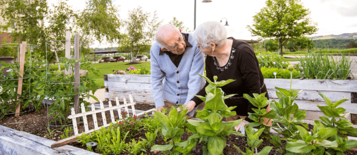 seniors outside gardening