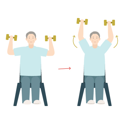 seated shoulder press vector