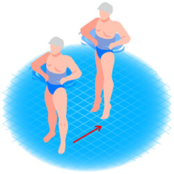 vector drawing of calf raises in the water