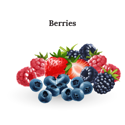 berries graphic