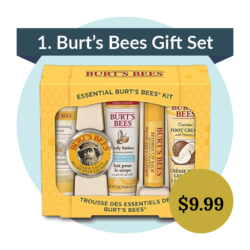 burts bees gift set