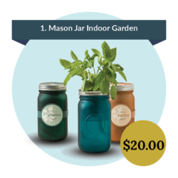 mason jar garden