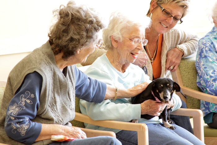 seniors with dog