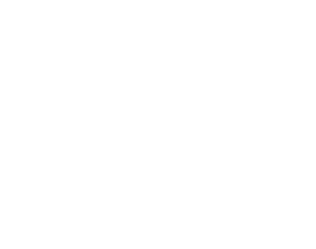 Spring Leaf