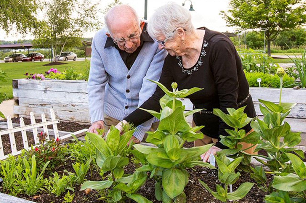 StoryPoint residents gardening