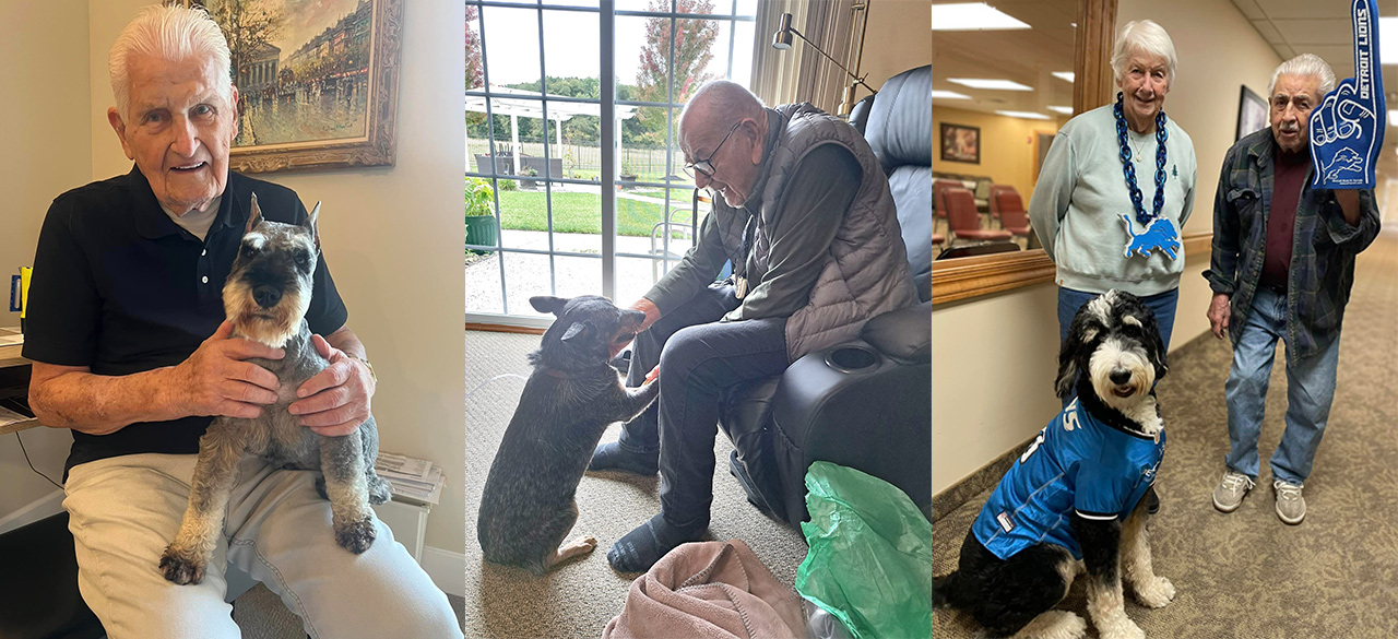 collage of senior living resident with their dogs